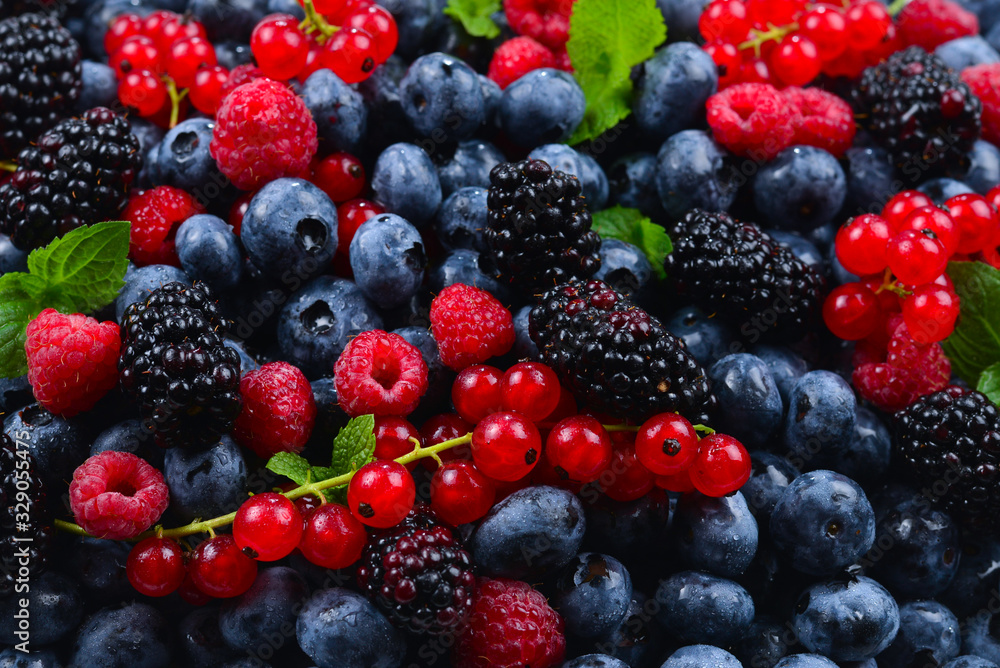 Blackberry, raspberry, blueberry, red currant and mint background. Blackberry, raspberry, blueberry, red currant and mint background.