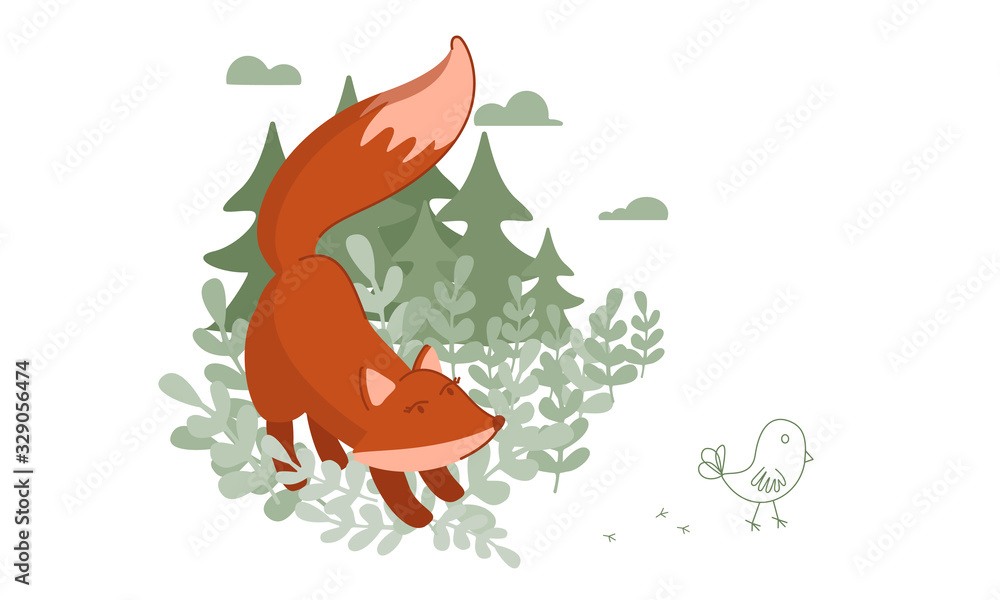 Red Fox hunts a small chicken Red Fox hunts a small chicken