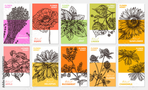 Vector collection of labels, stickers and cards for wildflower honey products. Banners for beekeeping and apiculture with sketch hand drawn illustrations