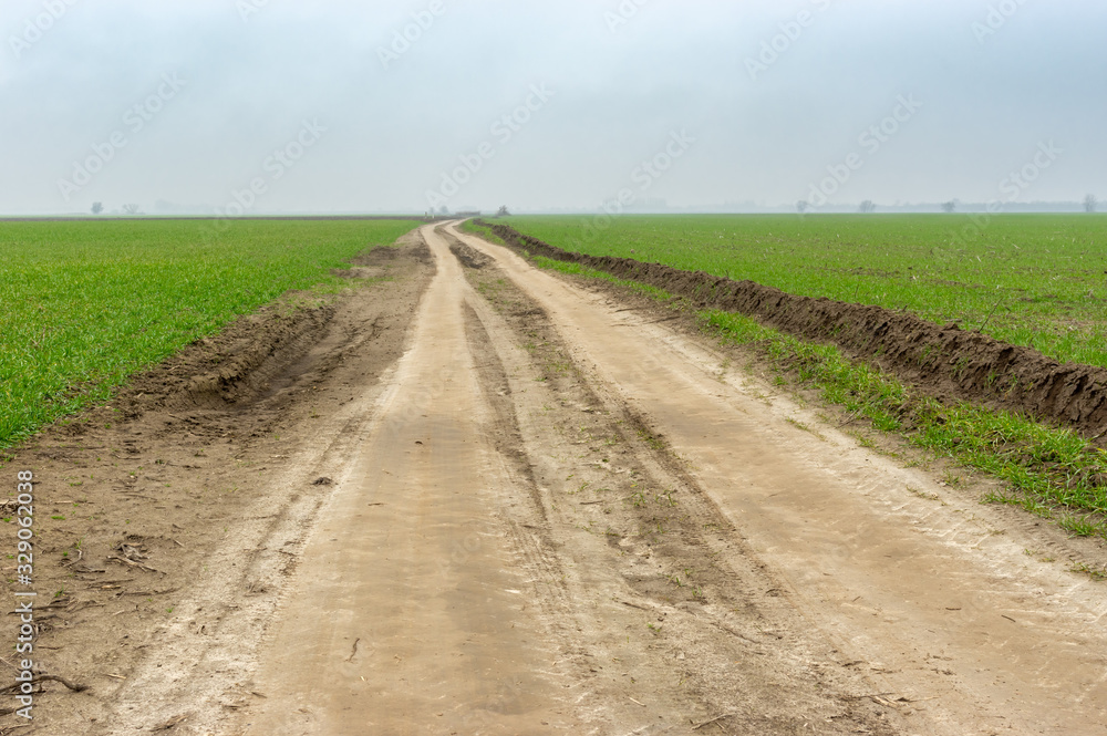 Seasonal landscape with earth road between winter crops fields in Ukraine at snowless winter