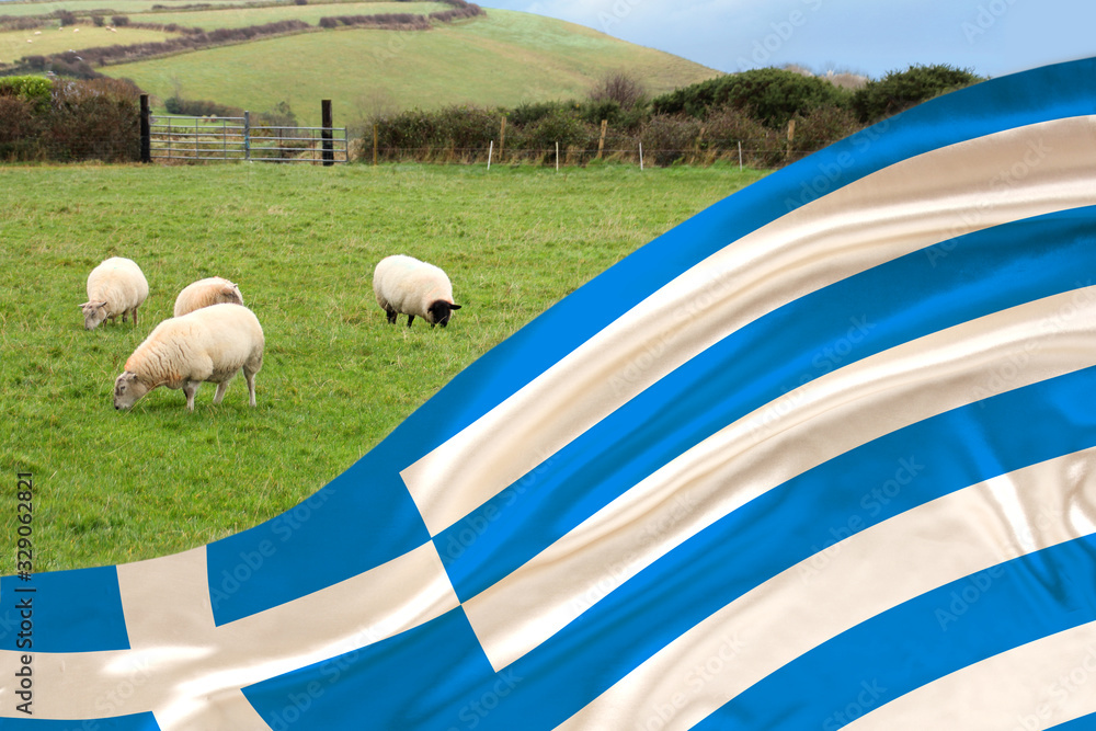 Fototapeta premium silk national flag of the state of Greece waving soft folds in the wind, in the background white sheep graze in the meadow and the concept of economics, agriculture, sheep breeding