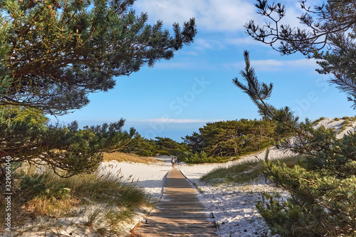 Wooden boardwalk through sand dune leading to a beach in Dueodde, Bornholm island, Denmark photo