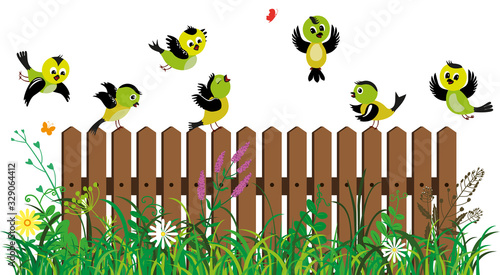 Funny colored birds on the background of fence, grass and flowers. Little isolated birds in cartoon style.
