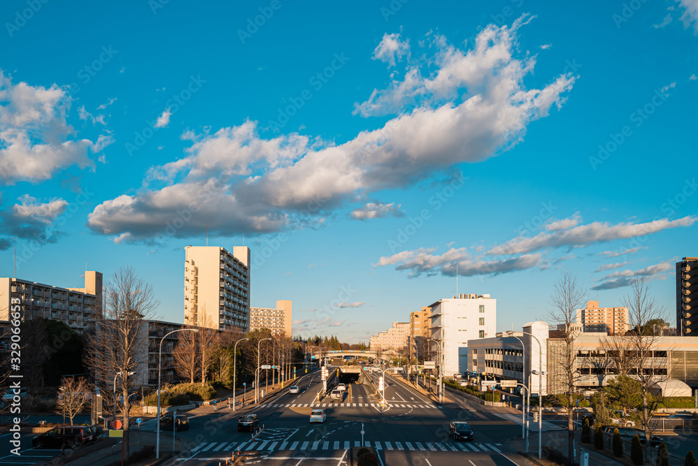 Skyline of Tsukuba City Center in Ibaraki, Japan