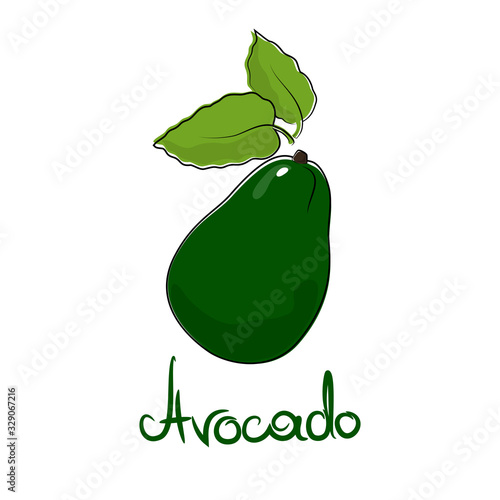 Green avocado and text Avocado , fruit isolated on white background, vector illustration