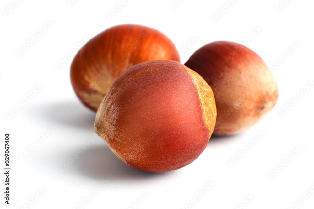Three nuts filberts isolated on white background. Three nuts filberts isolated on white background.