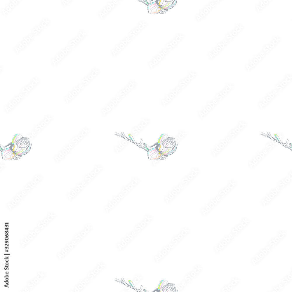Flower Pastel.White Romantic Seamless Pattern. Flower Pastel.White Romantic Seamless Pattern.
