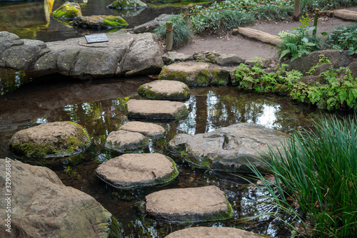 日本庭園の飛び石