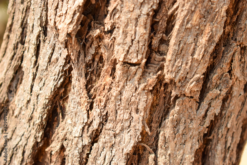 Tree Bark Rugged Texture Background Macro Stock Photography Image Tree Bark Rugged Texture Background Macro Stock Photography Image