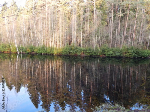 Fototapeta Naklejka Na Ścianę i Meble -  Берег