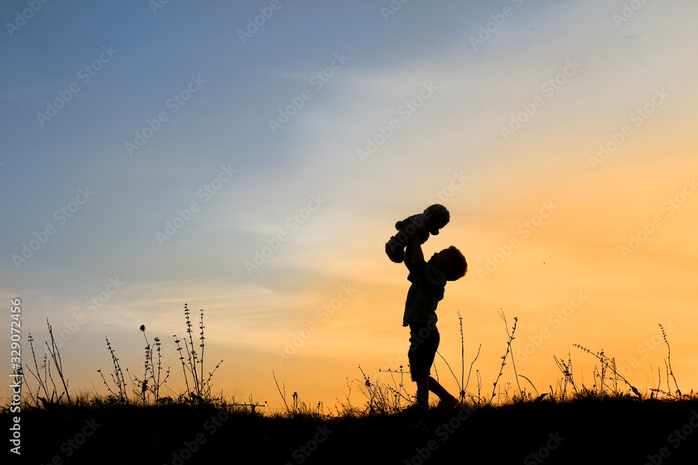 silhouette of child with bear on sunset