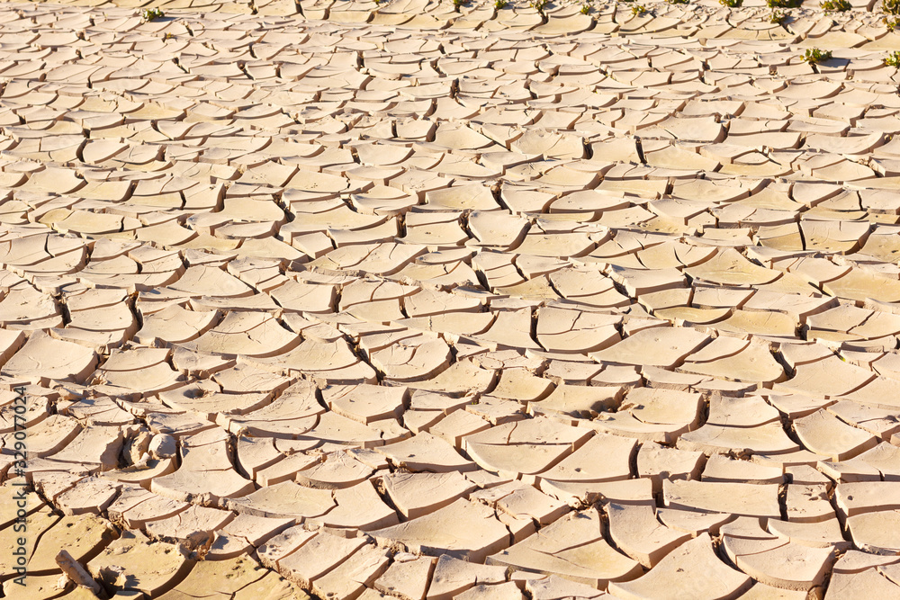 Drought, quartered and dry land Drought, quartered and dry land