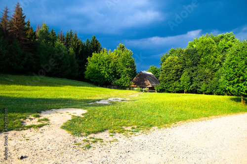 A green garden in the backyard with a wooden hut and lawn. Beautiful forest with a glade and a country house. Countryside lente housing, holiday home. Dark blue clouds and sun.
