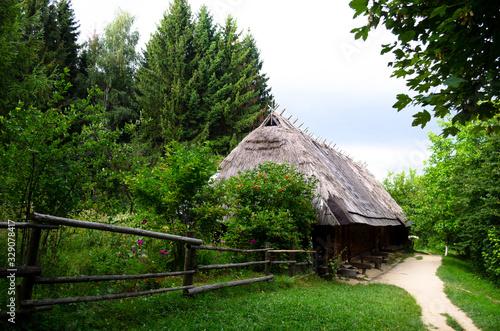 A green garden in the backyard with a wooden hut and lawn. Beautiful forest with a glade and a country house. Countryside lente housing, holiday home. Wooden Old Russian Architecture.