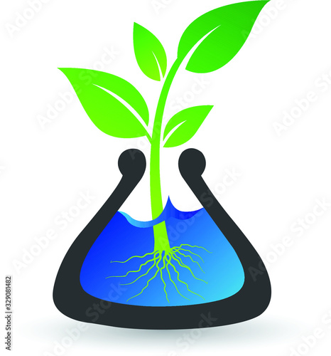 Test tube plant