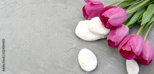 Spring spa setting with pink tulips and stones on grey background. Minimal resort or relax concept. Lifestyle. Copyspace.