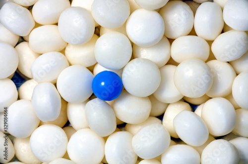 blue pearl and white tablets