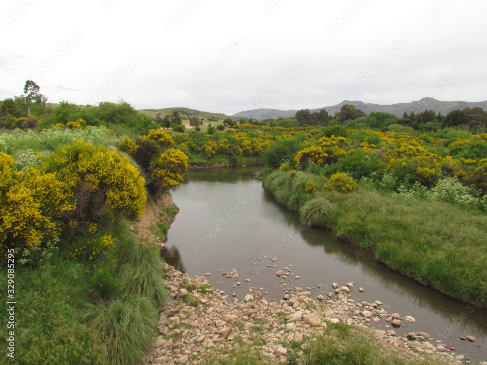 River with its preserved riparian forests
