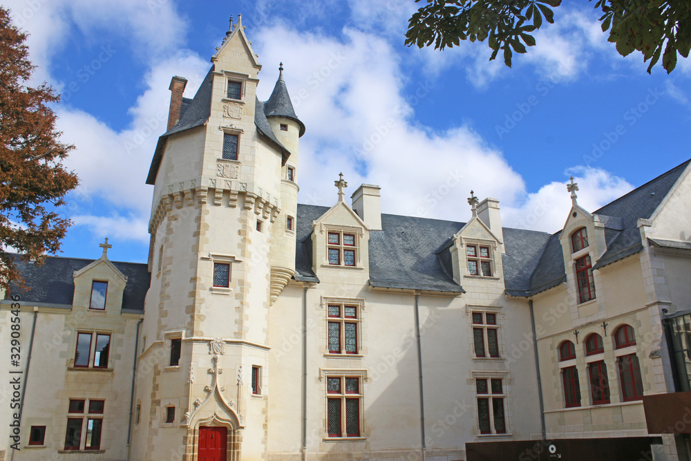 Historic tyndo Mansion in Thouars, France