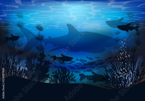 Underwater landscape  with shark and tropical fish, vector illustration