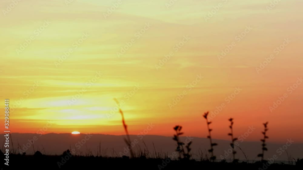 Stunning golden Africa sunrise on horizon with small branches waving in a gentle breeze in foreground as sun comes up behind distant hills. Daylight spreads across sky as glowing sun appears. Stunning golden Africa sunrise on horizon with small branches waving in a gentle breeze in foreground as sun comes up behind distant hills. Daylight spreads across sky as glowing sun appears.