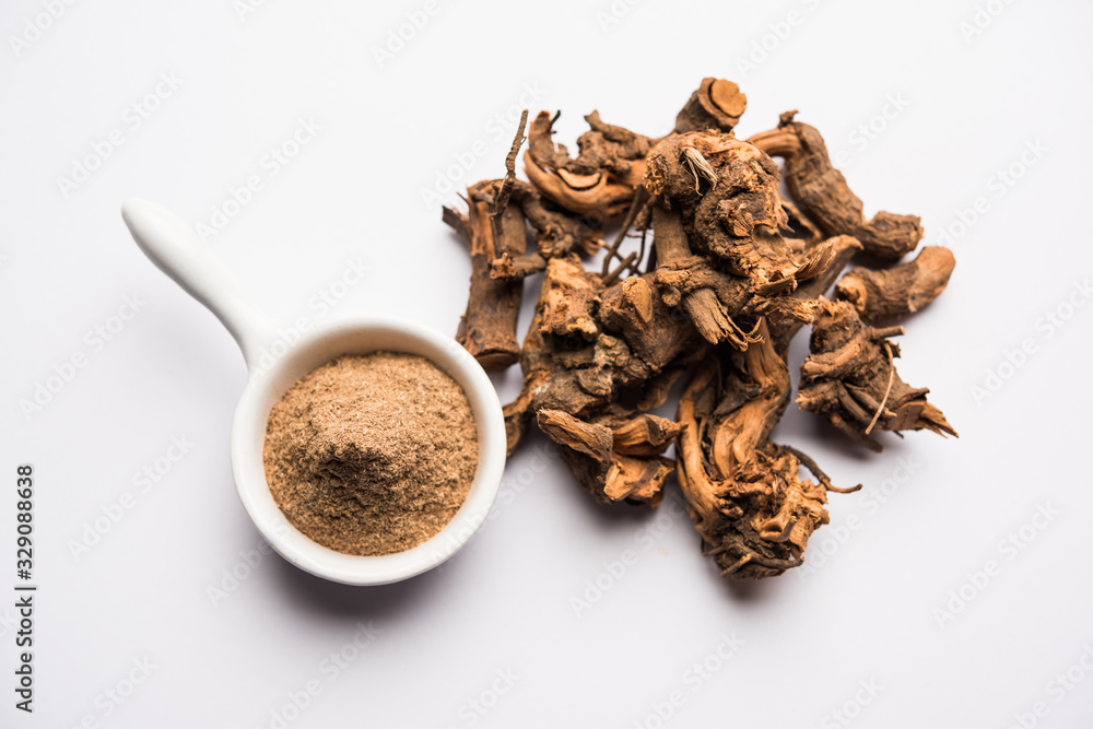 Obraz premium Ayurvedic Chitrak or Sheetraj roots also known as Plumbago zeylanica
