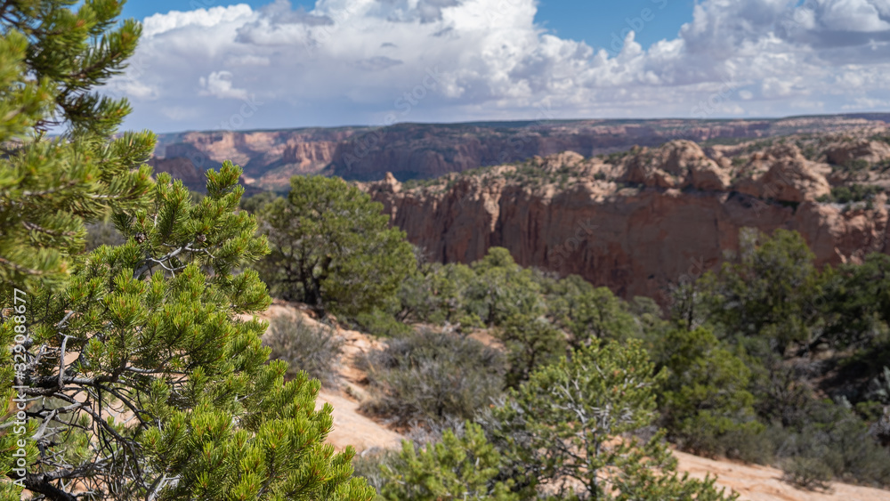 view on a canyon, Arizona