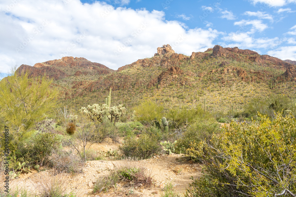 Rocky Tucson Mountains rise above the desert floor Rocky Tucson Mountains rise above the desert floor