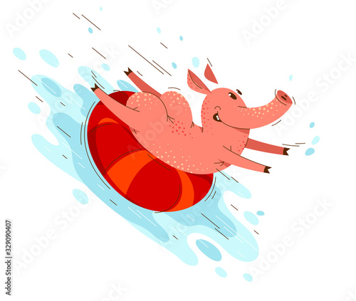 Funny cartoon pig slides on water using ring in aqua park or sea beach summer fun vector illustration, activity happy enjoying animal swine character drawing.