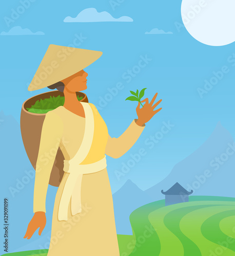 A tea picker woman holding a tea leaf in her hand. A girl plantation worker looking on a crop. The Asian conical hat, basket behind her back. The mountains, terrace fields landscape on the background.