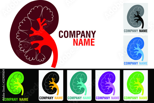 kidney logo