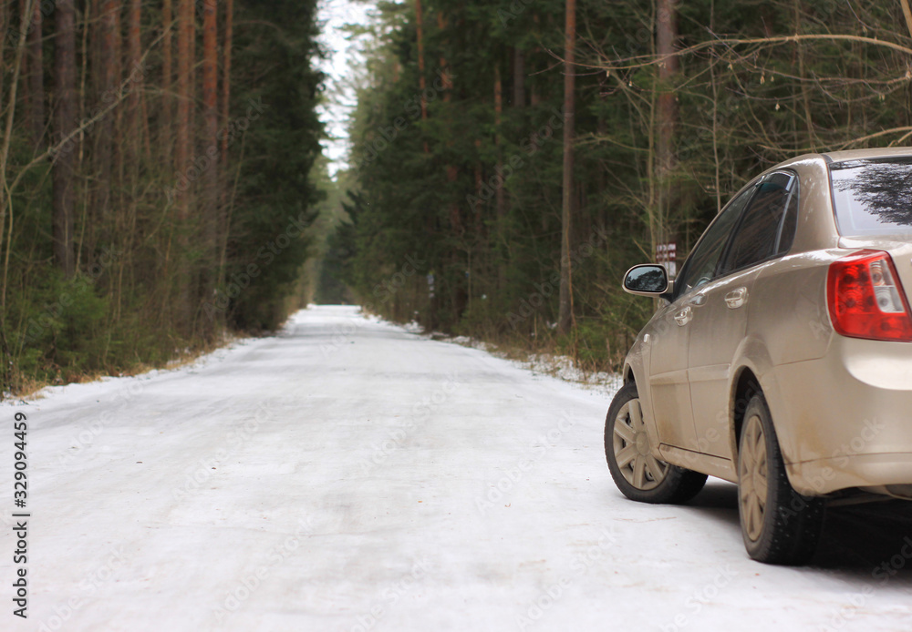 winter road in a coniferous forest. beige car sedan.