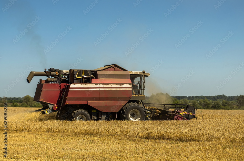 A harvester harvests in field, side view in motion A harvester harvests in field, side view in motion