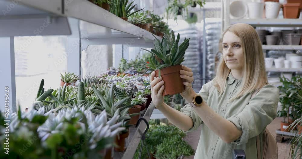 woman pick potted plant from shelf at garden store woman pick potted plant from shelf at garden store