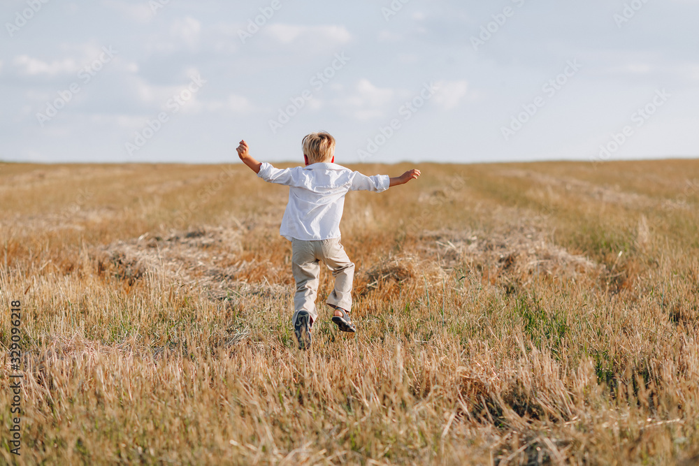 blond little boy playing hay in the field. summer, sunny weather, farming. blond little boy playing hay in the field. summer, sunny weather, farming.