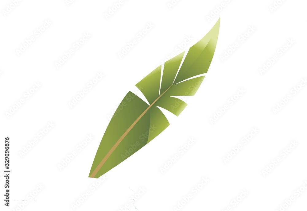 green leaves isolated on white background green leaves isolated on white background