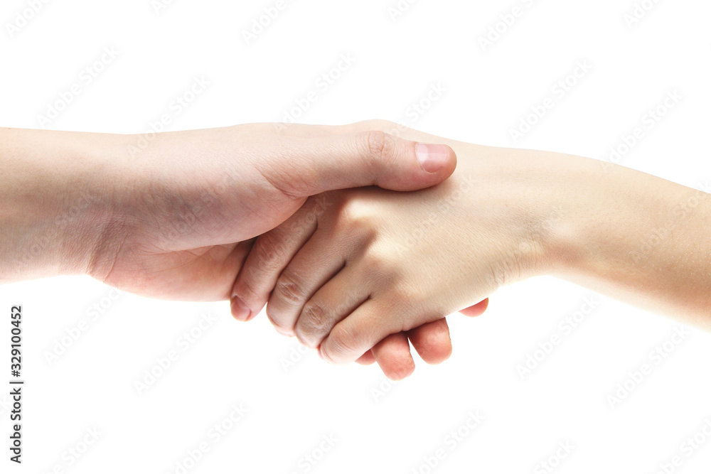 Handshake on a white background. Body parts. Hands on a white background