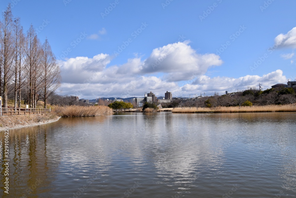 公園の池