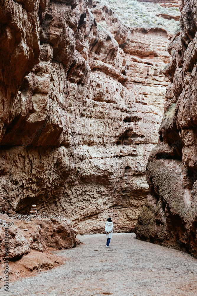 Obraz premium Single Asian girl walks in valley