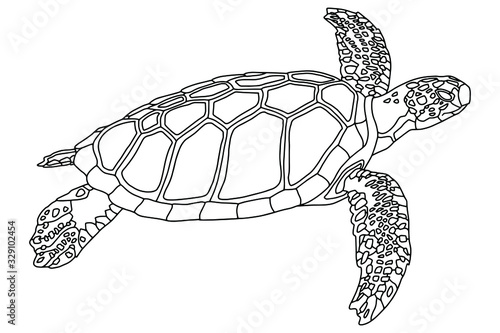 Vector illustration.  Coloring book. Sea turtle. Marine inhabitants. Children's illustration.