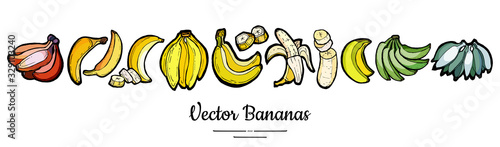 Bananas set vector isolated. Whole chopped banana slices bunch. Yellow green red fruits long banner hand drawn. Food vegetarian logo icons sketch ink style. Fruit bananas illustration white background