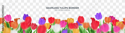 Colorful tulips flower on transparent background seamless border vector decoration, 3d floral frame template illustration