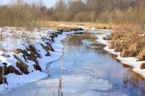 Wallpaper Mural a stream in the forest in early spring. open water. Torontodigital.ca
