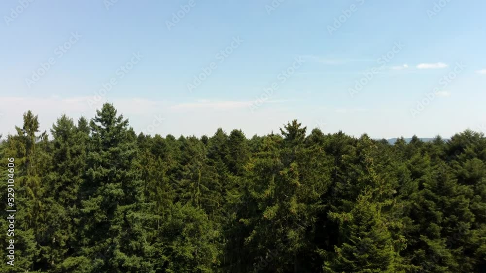 take-off along coniferous forest on top of trees, top view take-off along coniferous forest on top of trees, top view
