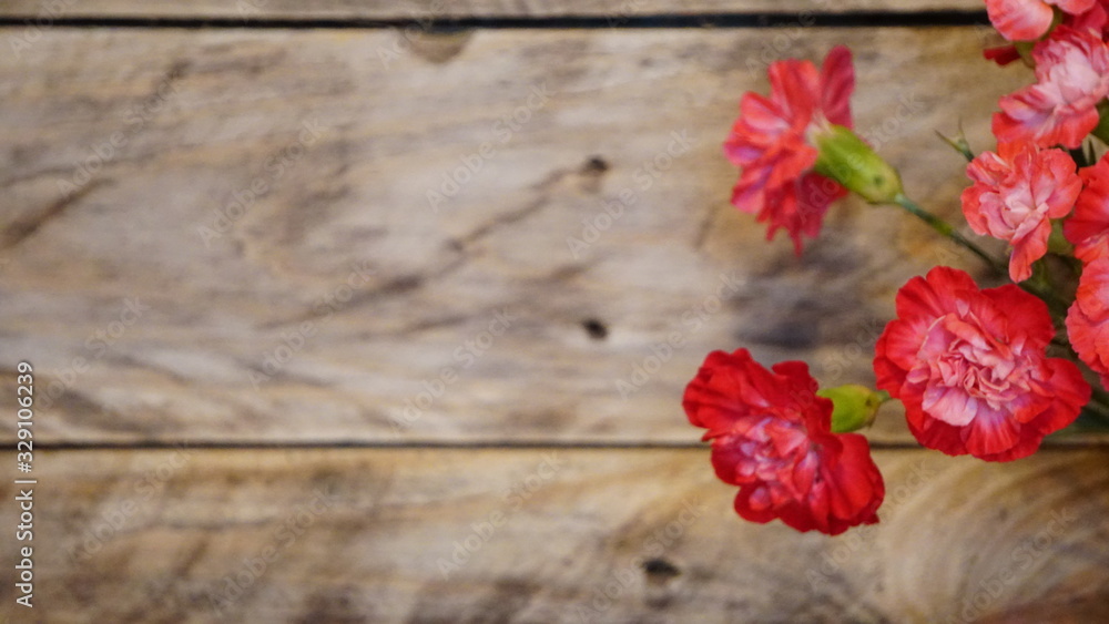 Fototapeta premium zielony