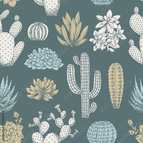 Cactus vintage seamless pattern. Sketchy style illustration. Succulent collection. Vector illustration