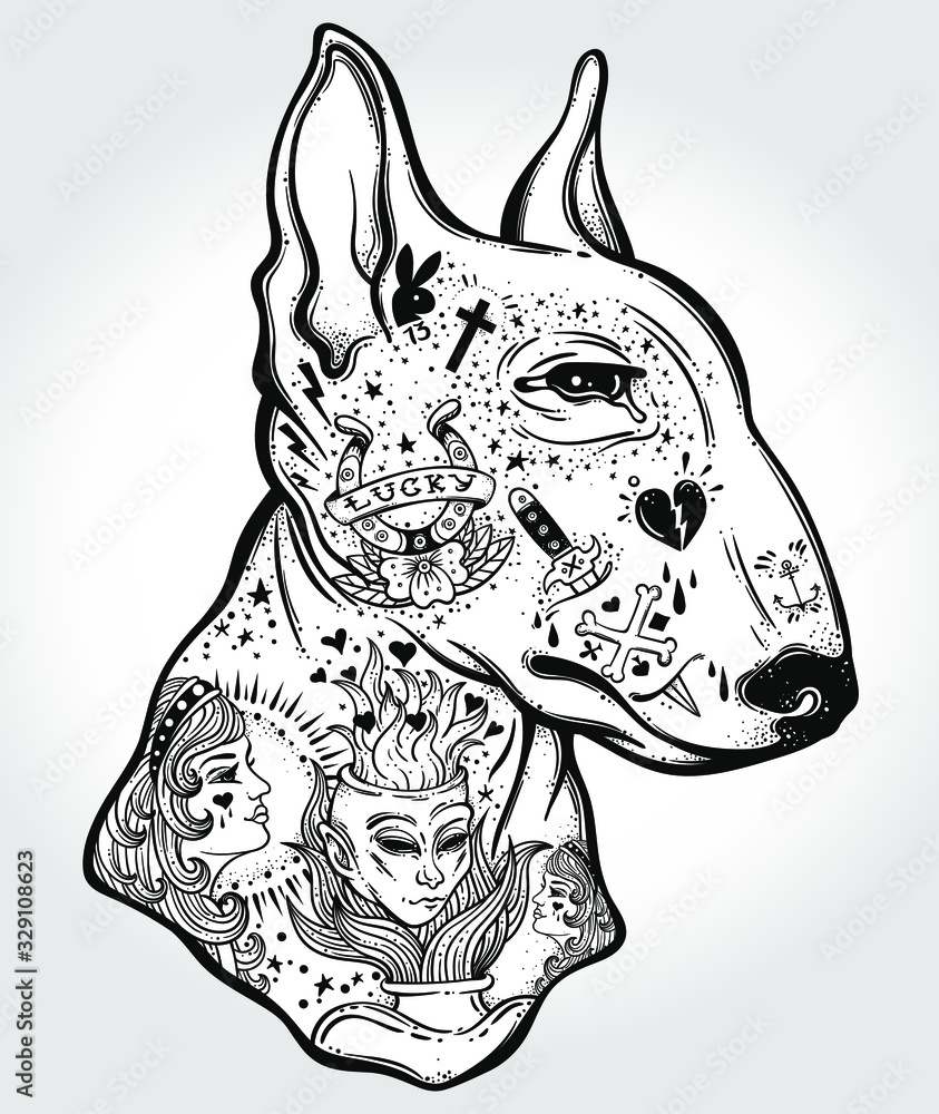 Obraz premium Bull terrier's portrait made in an old-stylized tattoo. Vector illustration for coloring book, t-shirts, tattoo art, boho design, posters, textiles. Isolated vector illustration.