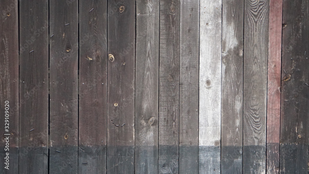 Fototapeta premium wiosna