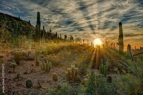 "Desert Sunrays At Sunset" © scottevers7