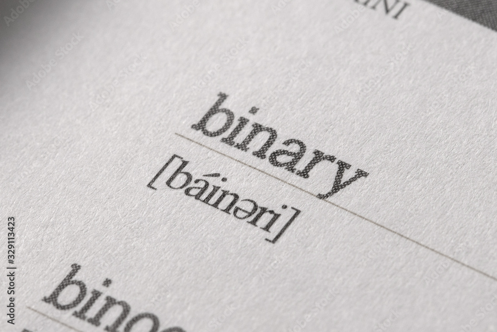 word binary and phonetic alphabet. The binary system expresses numbers using only the two digits 0 and 1. It is used especially in computing. word binary and phonetic alphabet. The binary system expresses numbers using only the two digits 0 and 1. It is used especially in computing.